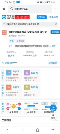深圳精神 孫海洋的實業之路與時代擔當